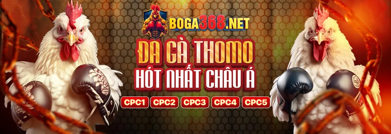 Các trò chơi bài hấp dẫn tại Banca30